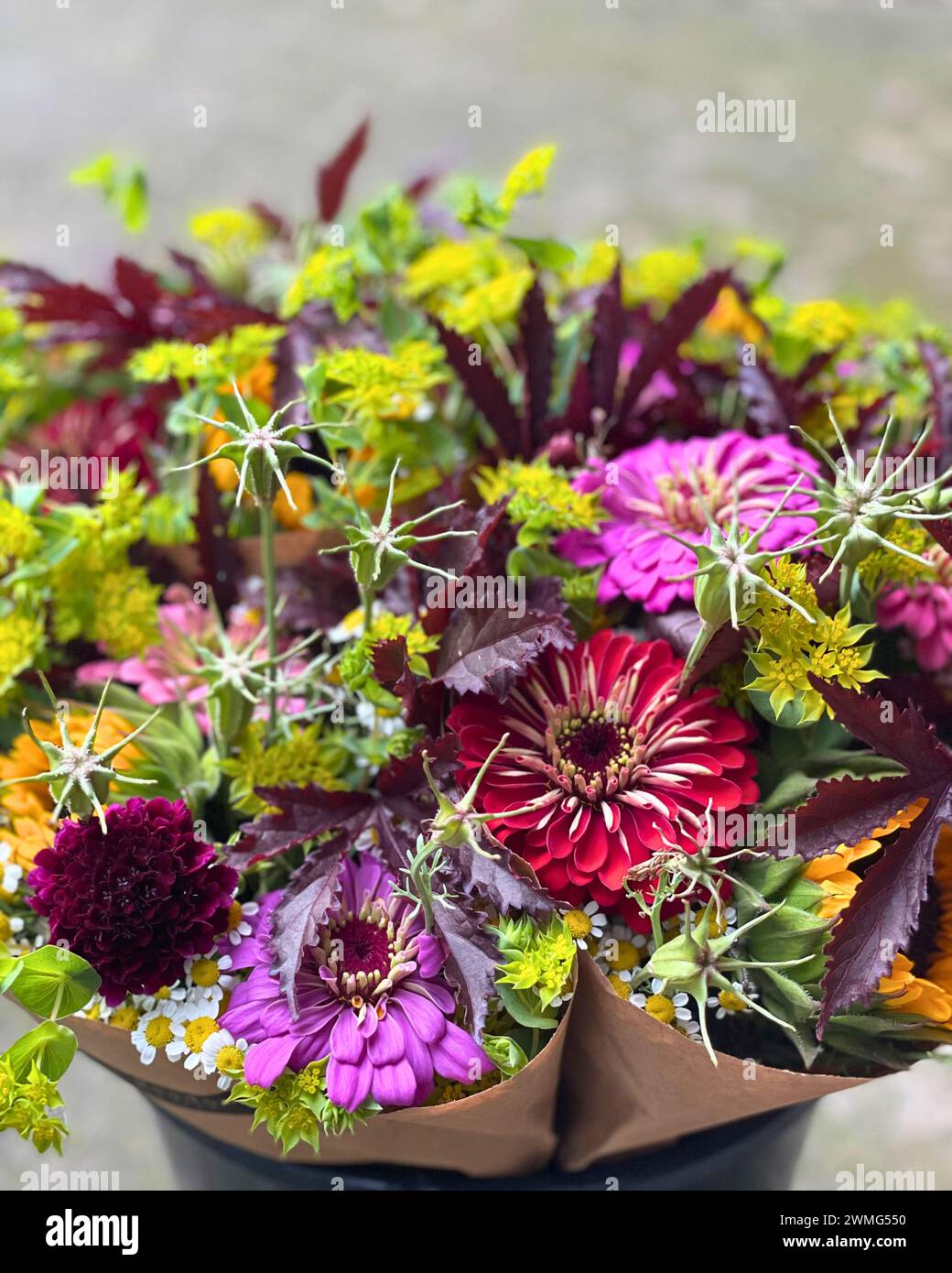 Gemischte Blumensträuße aus landwirtschaftlich angebauten Blumen aus Illinois Stockfoto