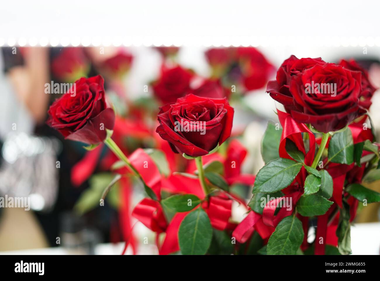 Ein Haufen roter Rosen. Nahaufnahme. Stockfoto