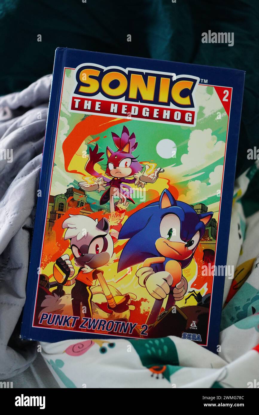Ein Comicbuch mit den Charakteren von Sonic the Igel auf dem Cover Stockfoto