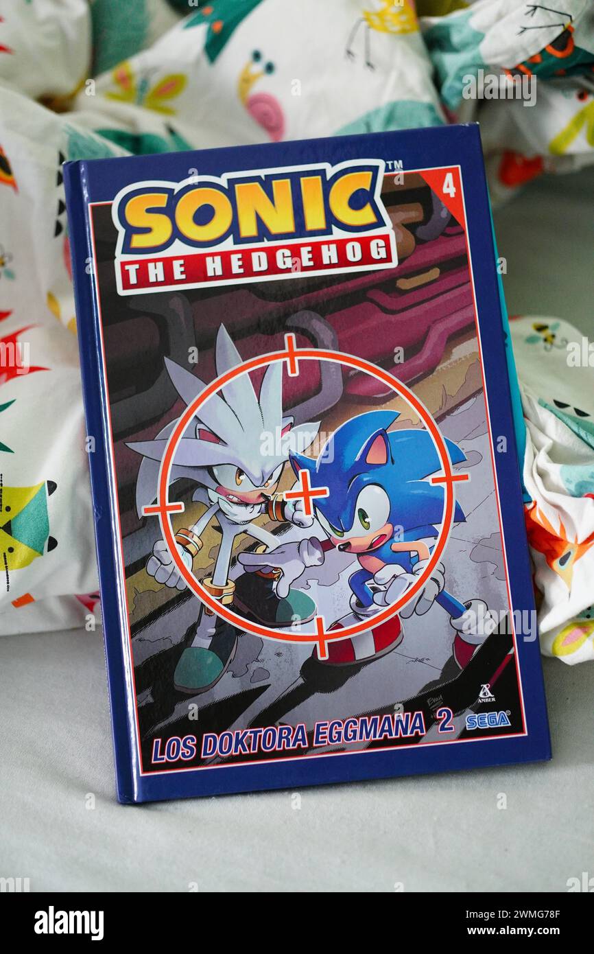 Ein Comicbuch mit den Charakteren von Sonic the Igel auf dem Cover Stockfoto