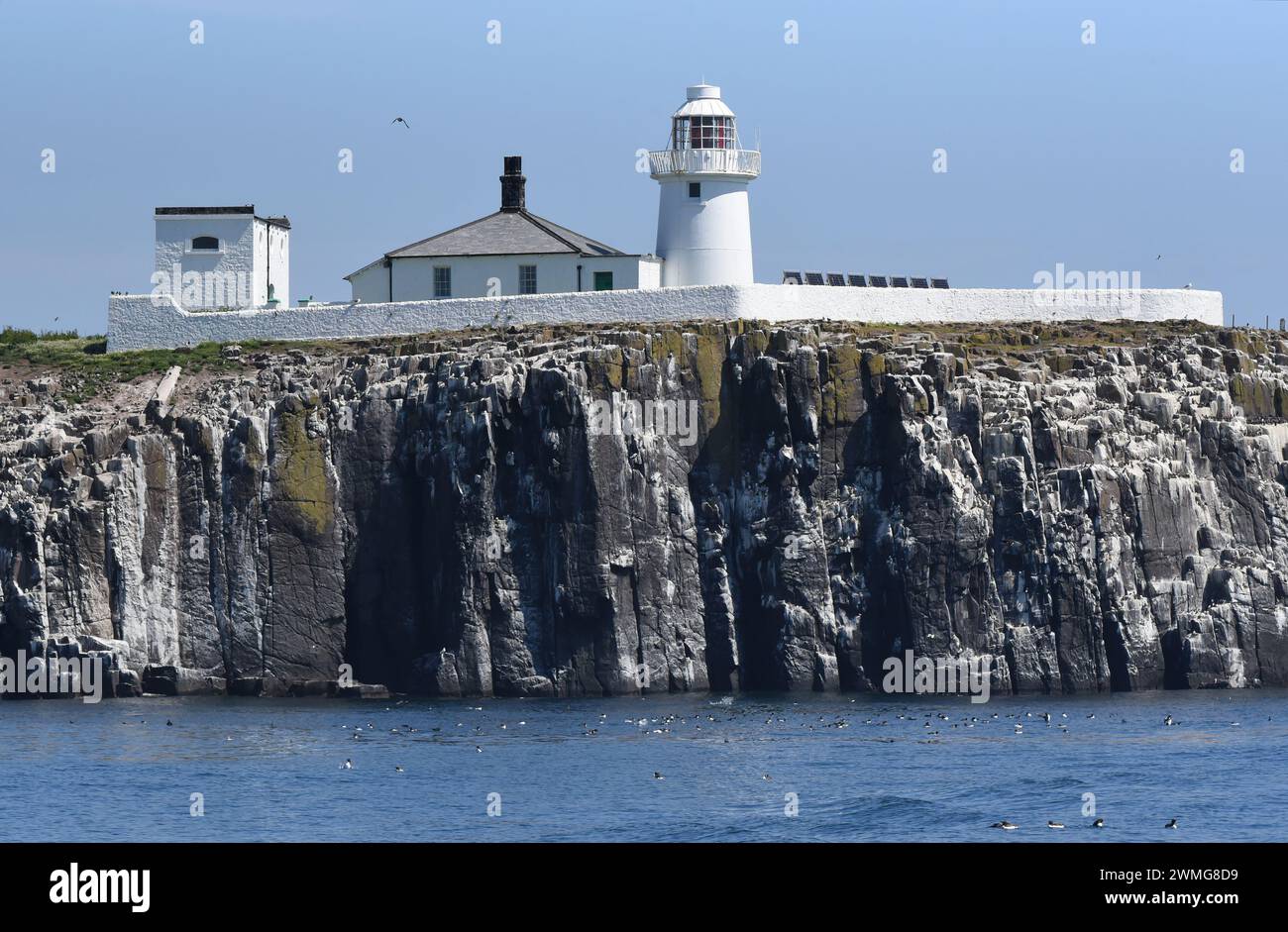 Leuchtturm auf den Farne-Inseln Stockfoto