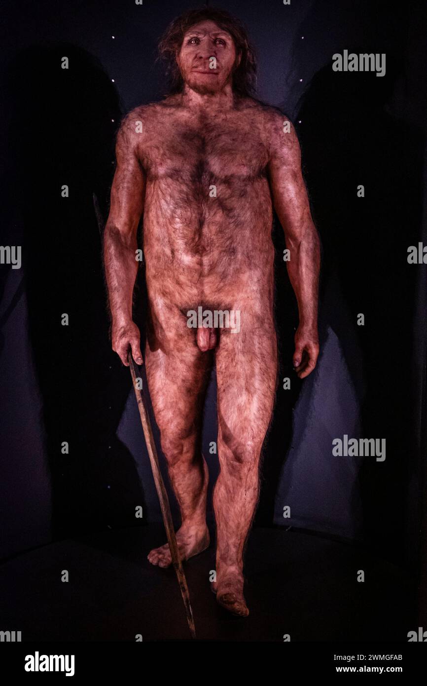 Homo heidelbergensis,Museo de la evolución humana, MEH, Burgos , Spanien Stockfoto