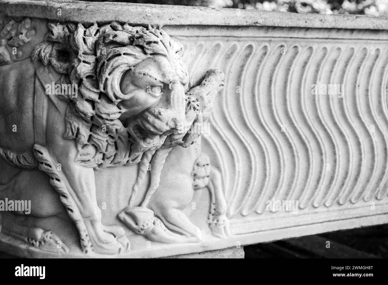 Schwarzweiß-Foto mit detaillierten gravierten dekorativen Skulpturen eines antiken römischen Sarkophags, der einen Löwen darstellt, der eine Beute angreift Stockfoto