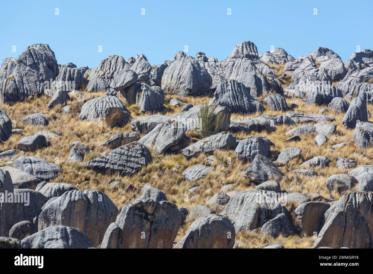 Natursteinwald in Peru: Huallay in Pasco. Stockfoto