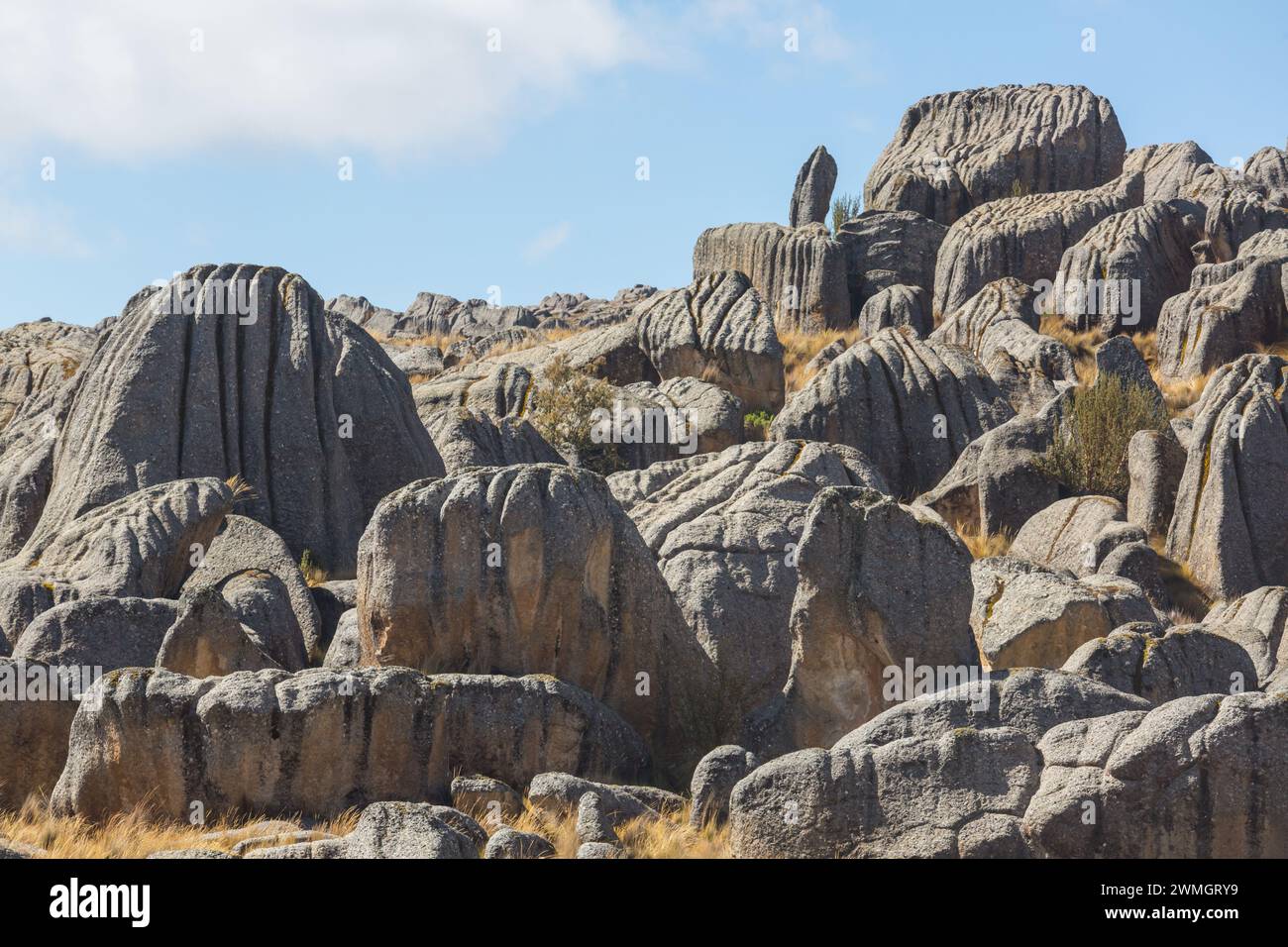 Natursteinwald in Peru: Huallay in Pasco. Stockfoto