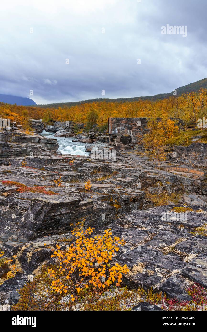 Herbstlandschaft in Abisko mit Abiskojokk und bunten Bäumen, Abisko, Schwedisch Lappland, Schweden Stockfoto