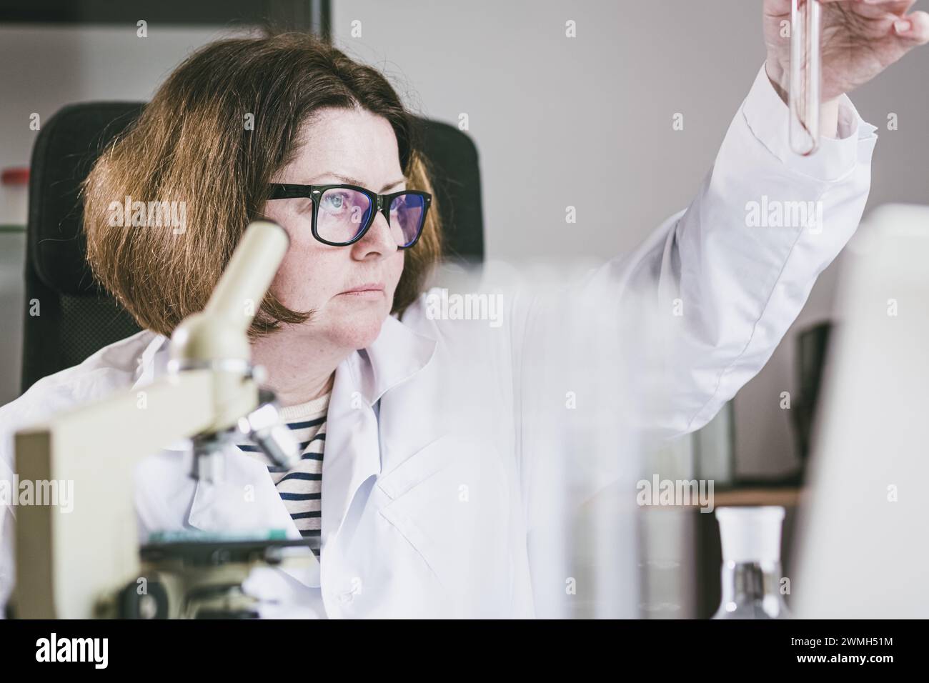 Erwachsene Forscherin zur Untersuchung des Insektenverhaltens in einem Reagenzglas. Forschungslabor. Biologie der Lebewesen. Stockfoto