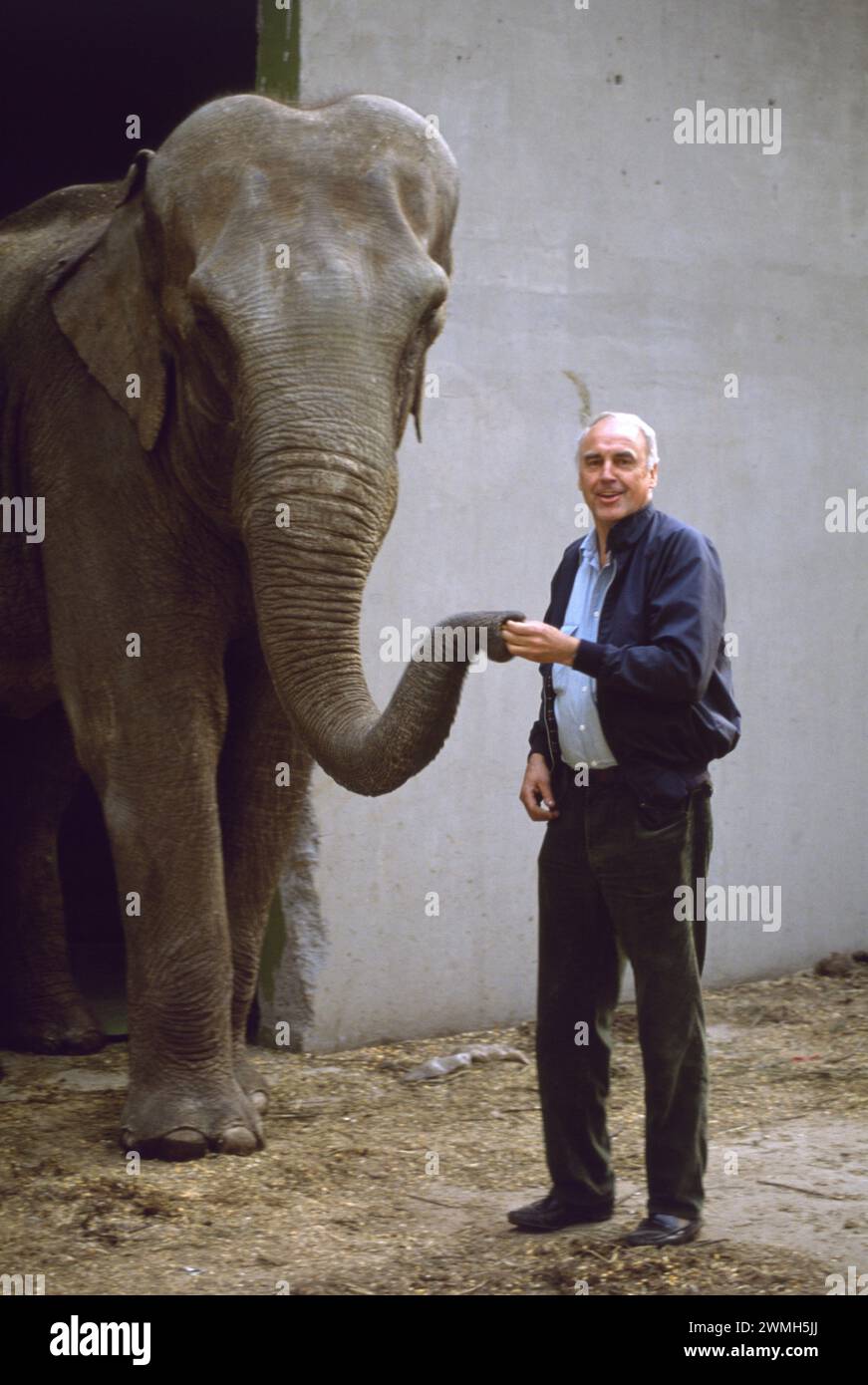 Erster Golfkrieg: 19. März 1991 Tierretter John Walsh vom WSPA mit Aziza, dem Elefanten im Zoo von Kuwait. Stockfoto