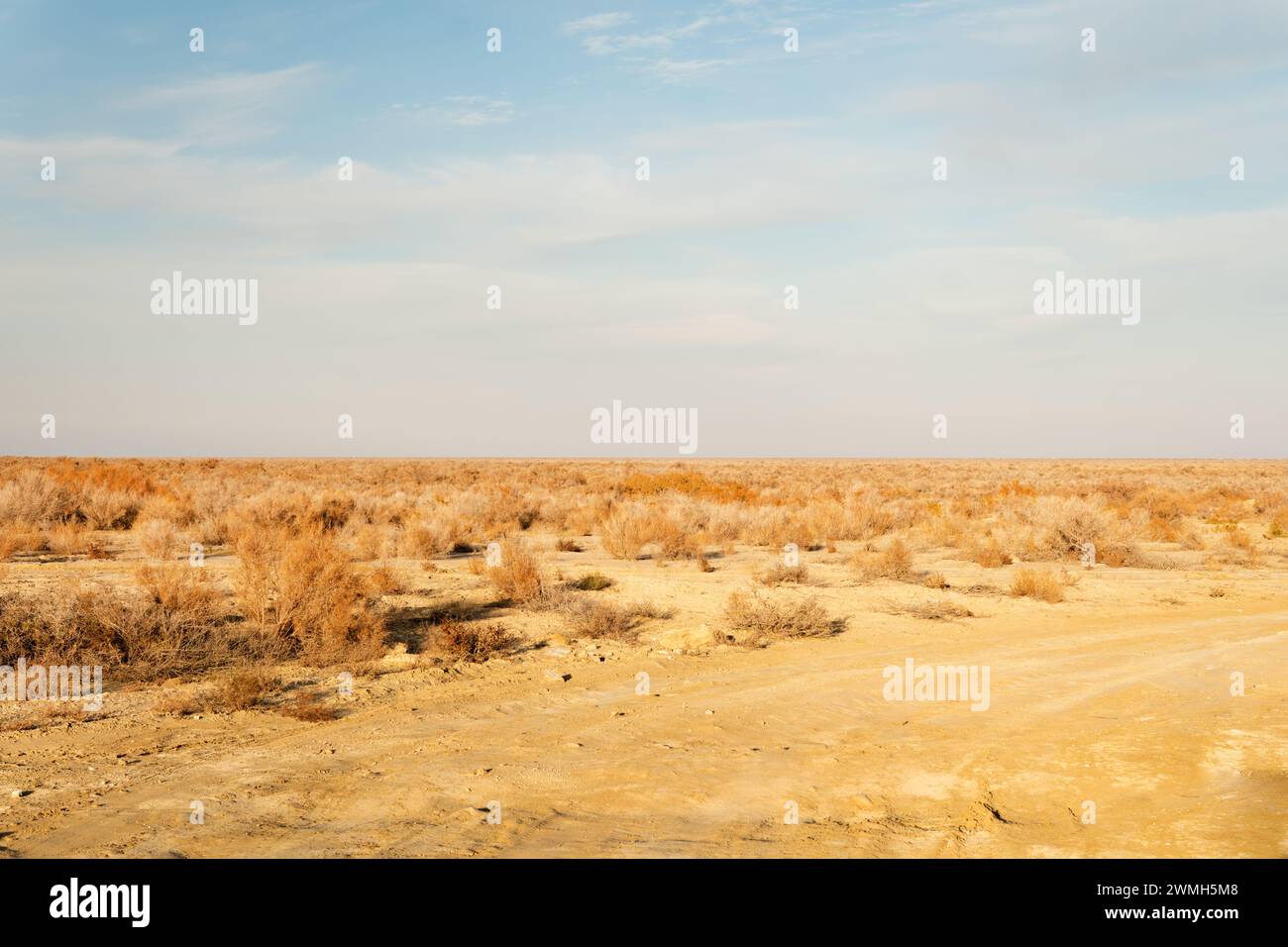 Sanddünen in der Wüste Kyzylkum Kasachstan. Die riesige Wüste Zentralasiens Stockfoto