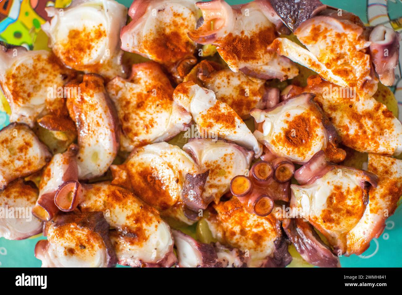 Kraken in Scheiben, gewürzt mit Paprika, ein klassisches spanisches Gericht. Stockfoto