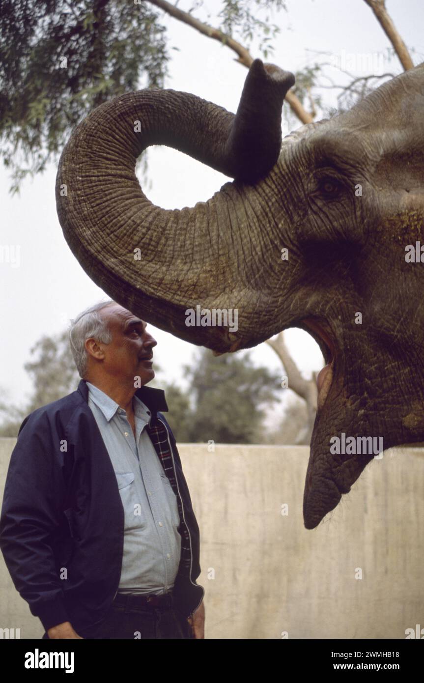 Erster Golfkrieg: 19. März 1991 Tierretter John Walsh vom WSPA mit Aziza, dem Elefanten im Zoo von Kuwait. Stockfoto