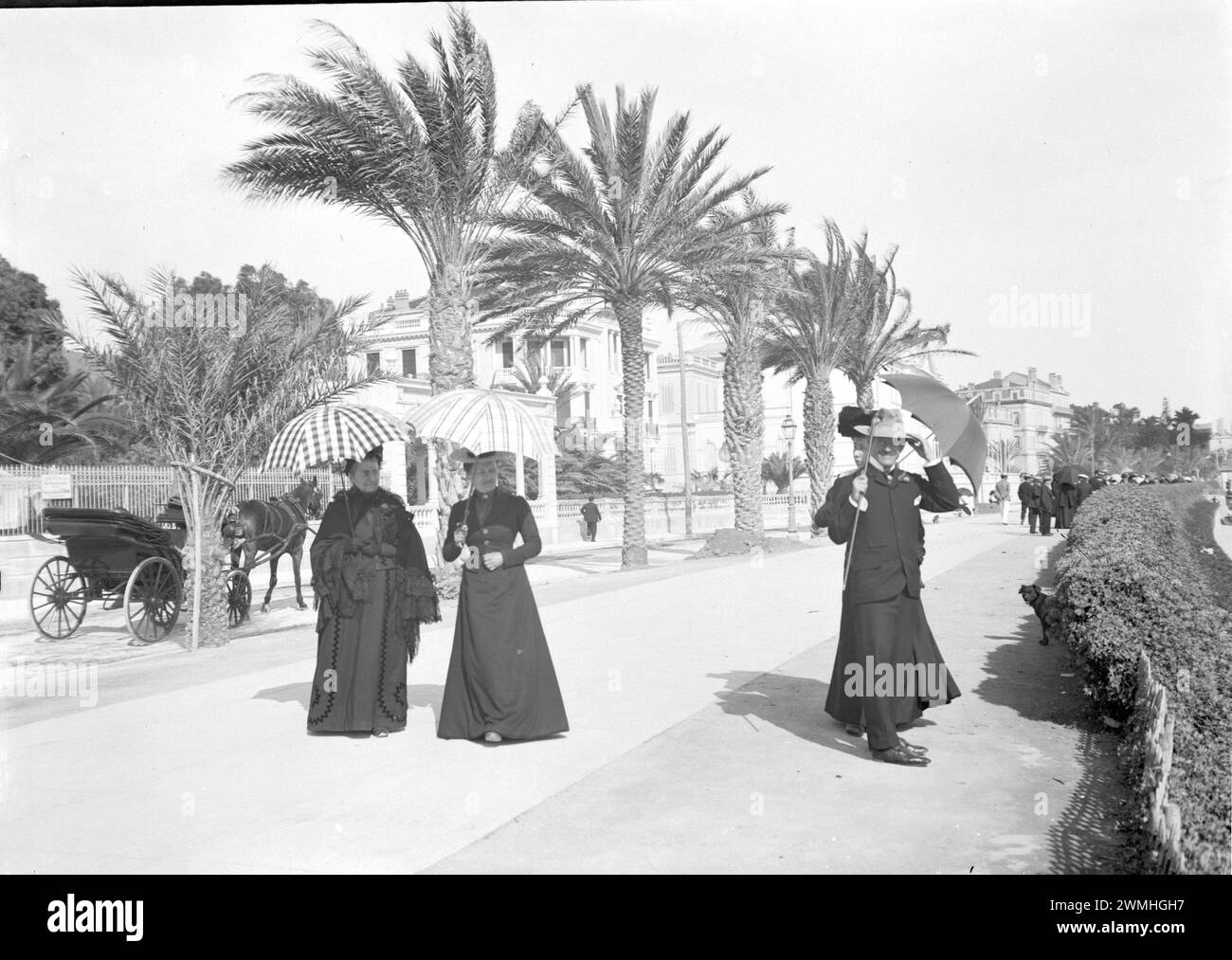 Eine Gruppe von Männern und Frauen, die auf einer Promenade in Cannes neben Palmen spazieren gehen. Anfang des 20. Jahrhunderts. Altes Foto von Glasplatte restauriert. Stockfoto