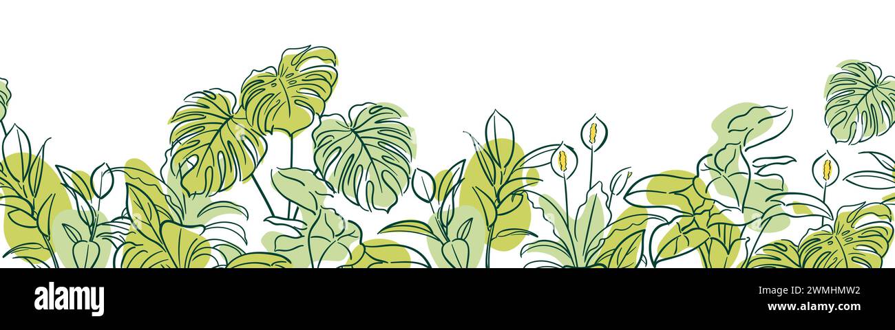 Ficus, Syngonium, Monstera, Spathiphyllum. Nahtloses Muster. Exotische Pflanze. Häusliche Blumenzucht, Hauspflanzen, Hobby. Botanische Illustration in Handzeichnung Stock Vektor