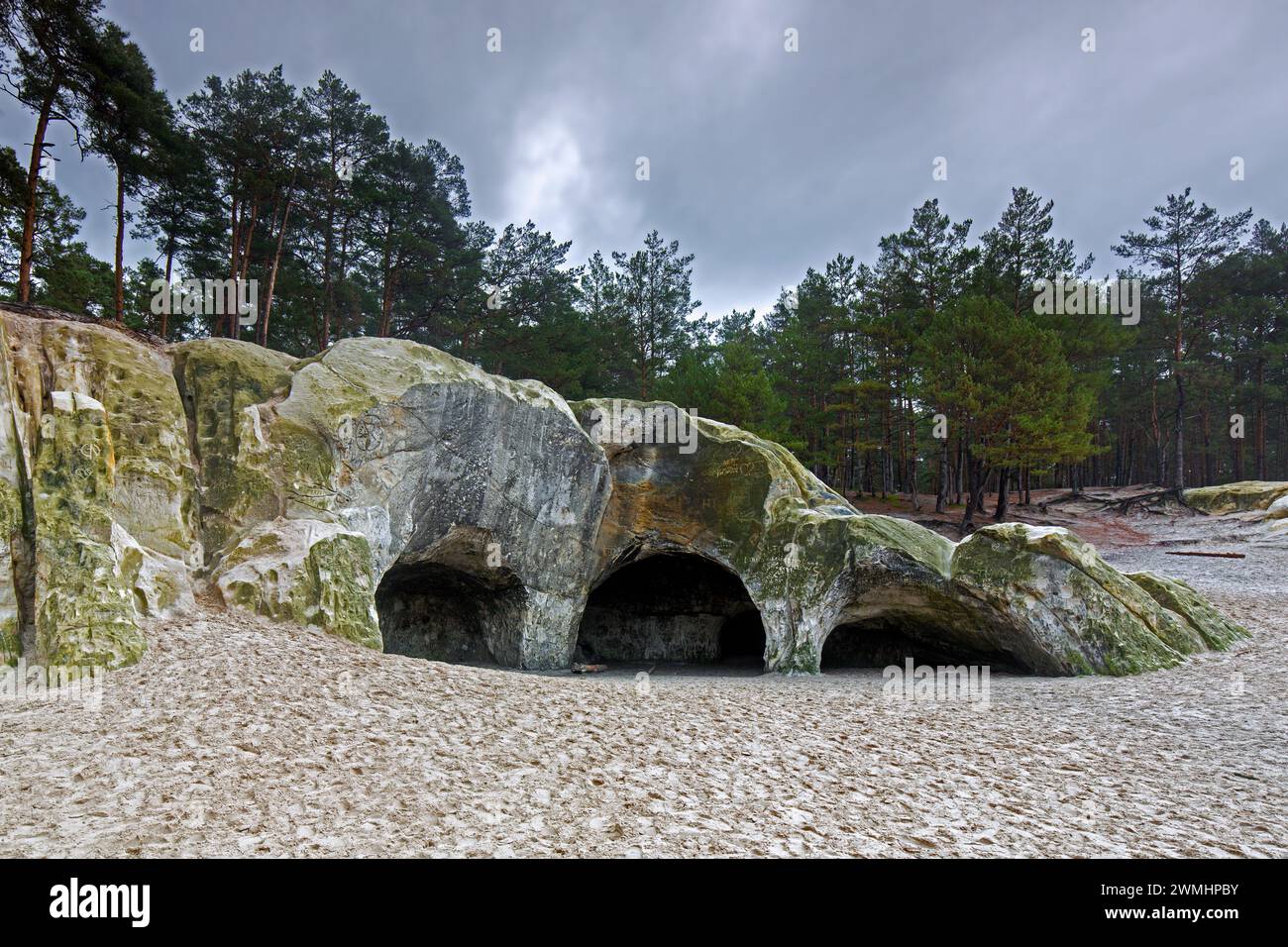 Die Sandhöhlen, Sandsteinhöhlen im Wald genannt im Heers unterhalb der Felsen des Regensteins bei Blankenburg, Harz, Sachsen-Anhalt Stockfoto