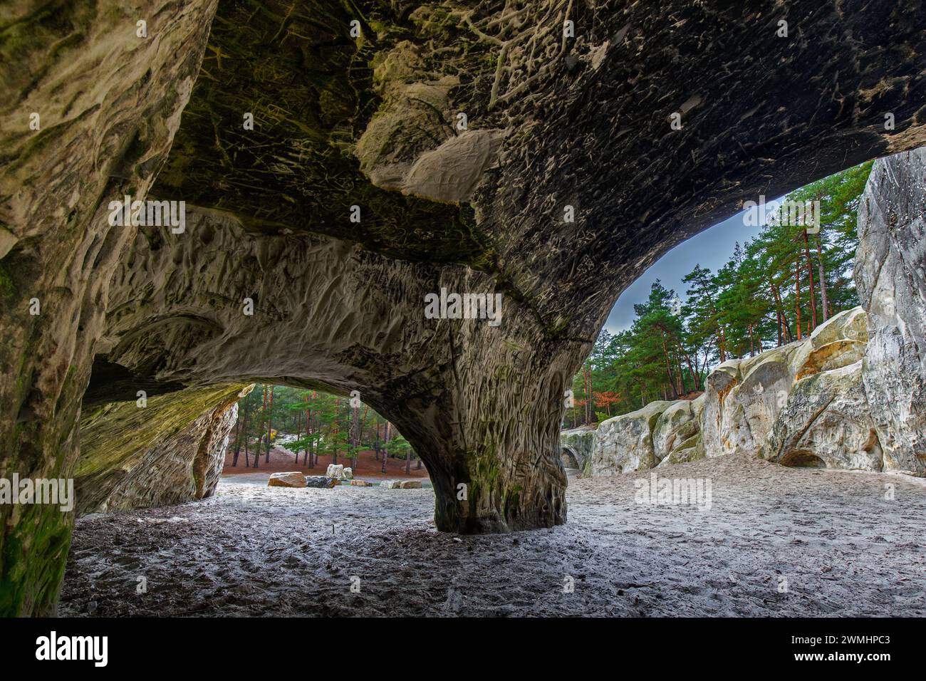 Gravuren in den Sandhöhlen, Sandsteinhöhlen im Wald genannt im Heers unterhalb der Felsen von Regenstein bei Blankenburg, Harz, Sachsen-Anhalt Stockfoto