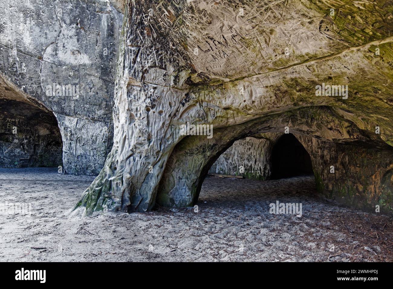 Felsgemeißel in den Sandhöhlen, Sandsteinhöhlen im Wald genannt im Heers unterhalb der Felsen des Regensteins bei Blankenburg, Harz, Sachsen-Anhalt Stockfoto