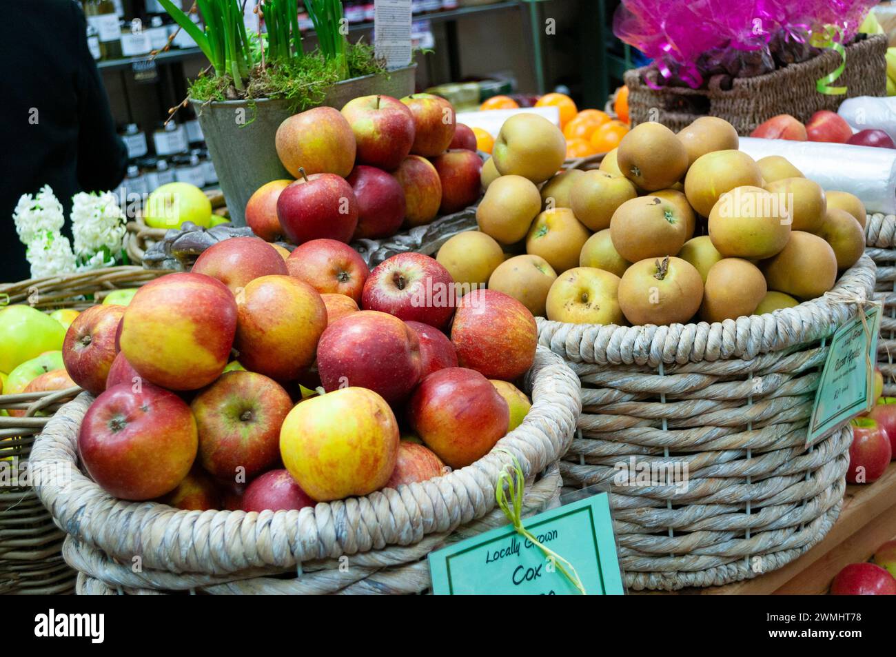 Schließen Sie zwei Körbe mit frischen, lokal angebauten Äpfeln aus biologischem Anbau, englische Sorten, auf einem Bauernmarkt Stockfoto