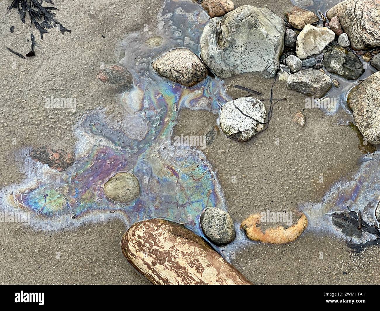 Öl schwebte um Steine am Strand herum, wobei Regenbogenfarben im Öl zu sehen waren Stockfoto