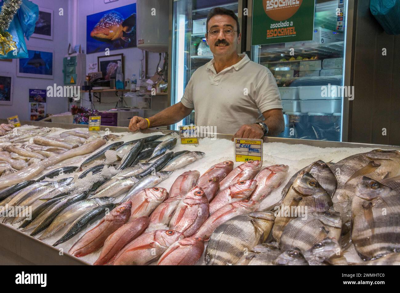 Fischhändler auf dem Markt der Stadt La Laguna auf Teneriffa, Kanarische Inseln Stockfoto