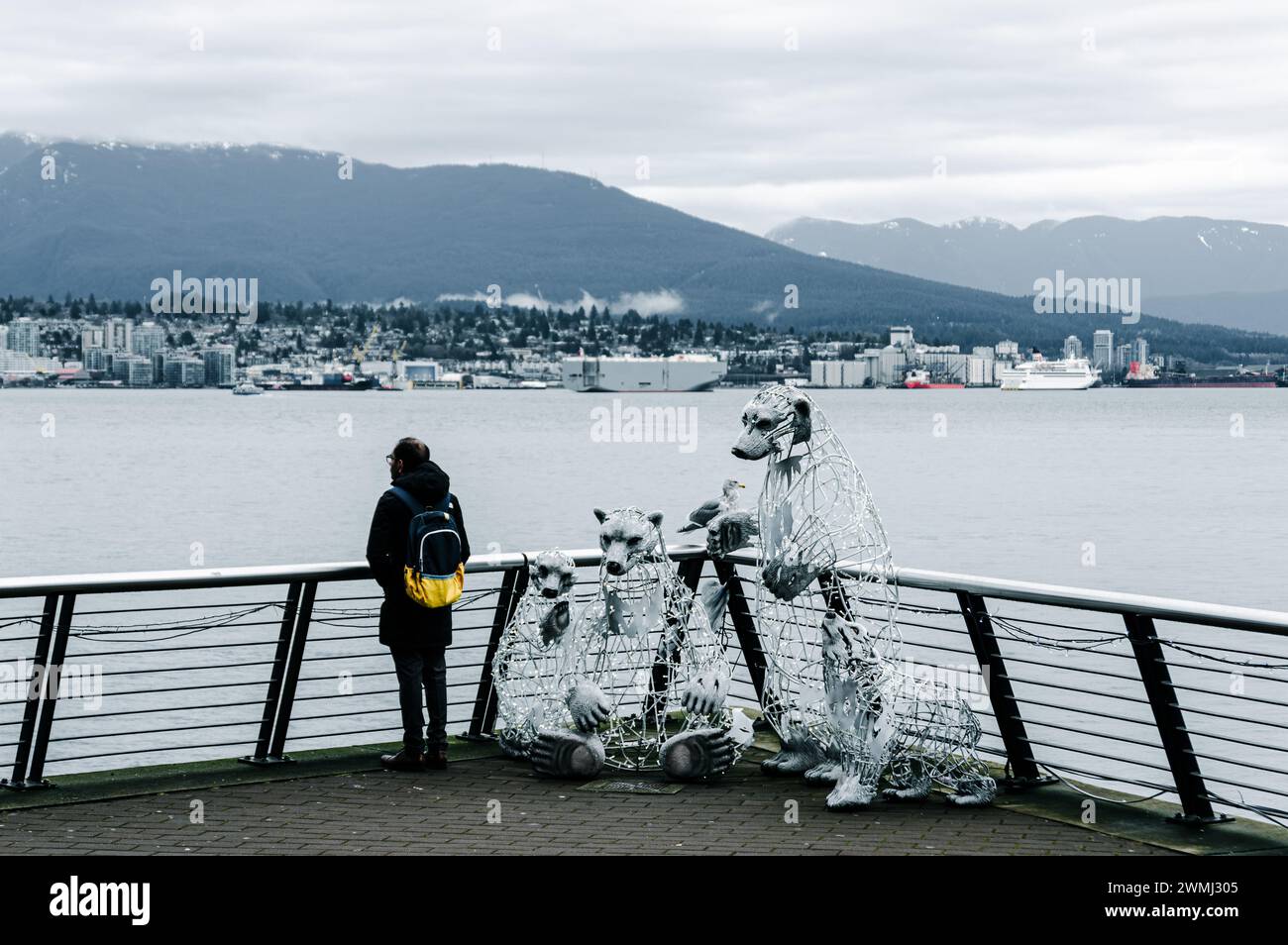 Ein einsamer Mann, der über das Wasser in Richtung North Vancouver blickt, sich an das Geländer lehnt, neben einer Skulptur von Eisbären und einer lebenden Möwe. Stockfoto