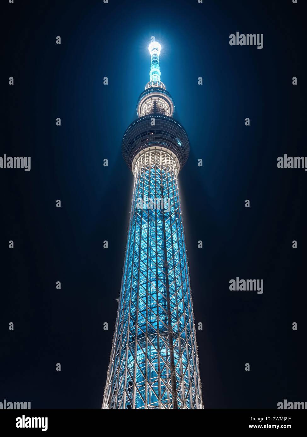 Architektonisches Wahrzeichen Tokio Skytree beleuchtet bei Nacht in Tokio, Japan. Stockfoto