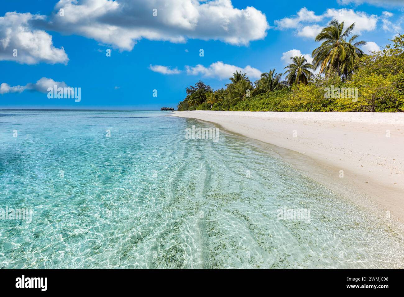 Herrliche Strandlandschaft im Sommer. Exotische Inselküste mit Palmen und weißem Sand in der Nähe des atemberaubenden blauen Meeres und der Lagune. Tropisches Naturparadies Stockfoto