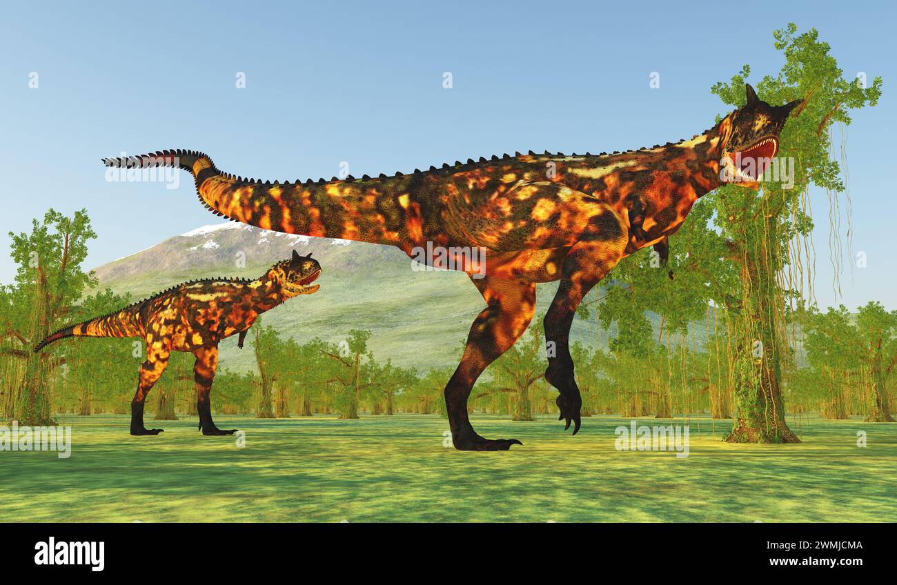 Carnotaurus war ein fleischfressender Theropoden-Dinosaurier, der während der Kreidezeit in Argentinien lebte. Stockfoto