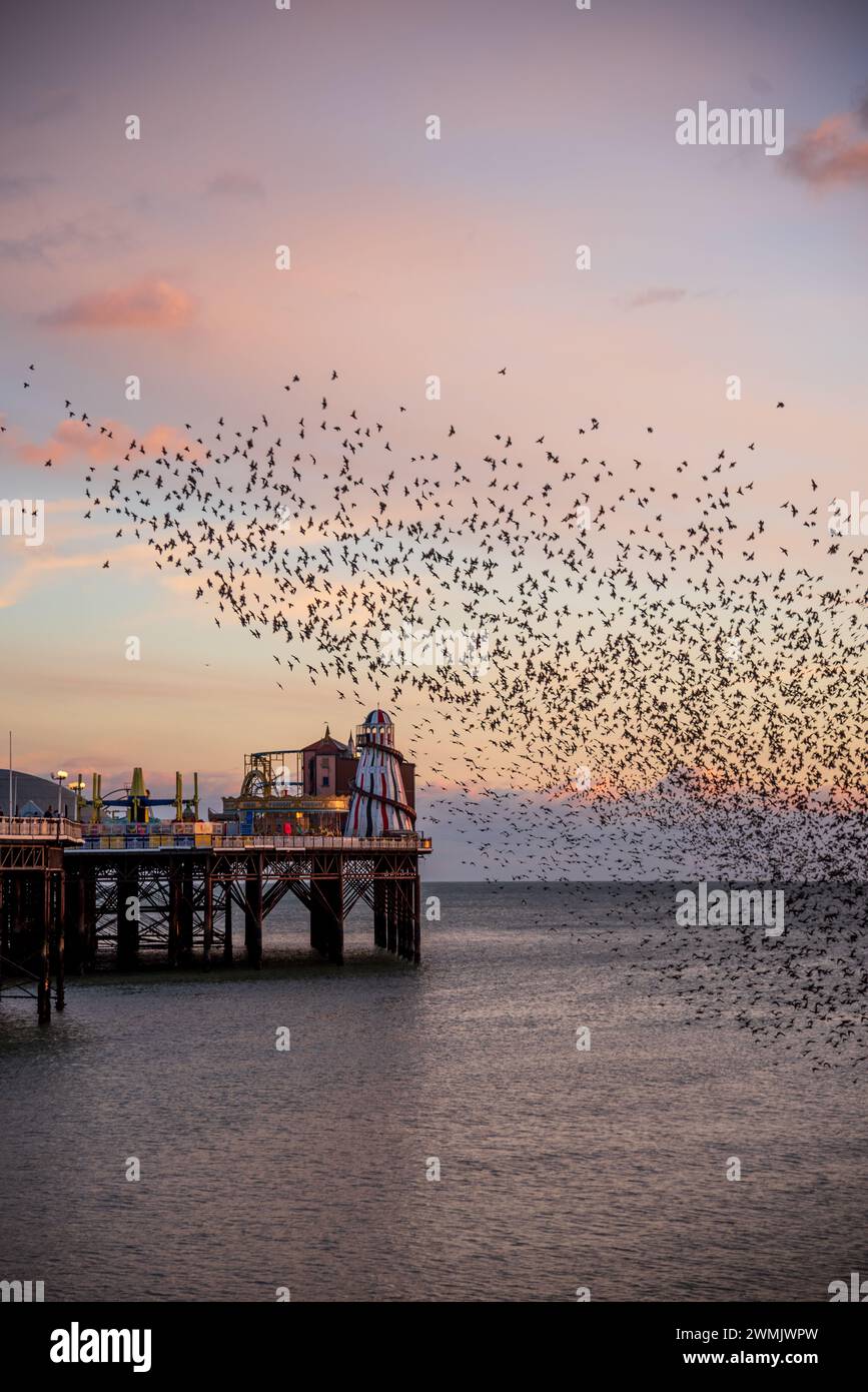 Der Tanz der Starlinge am Brighton Pier im Winter Stockfoto