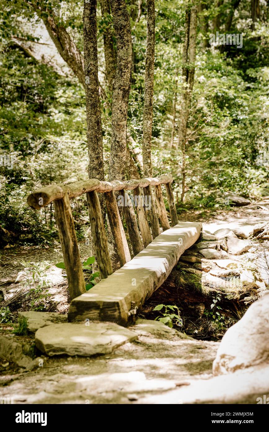 Kleine Holzbrücke entlang des Wanderweges in den Smokies Stockfoto