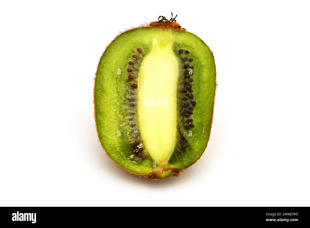 Kiwi-Frucht in zwei Hälften geschnitten, isoliert auf weißem Hintergrund Stockfoto