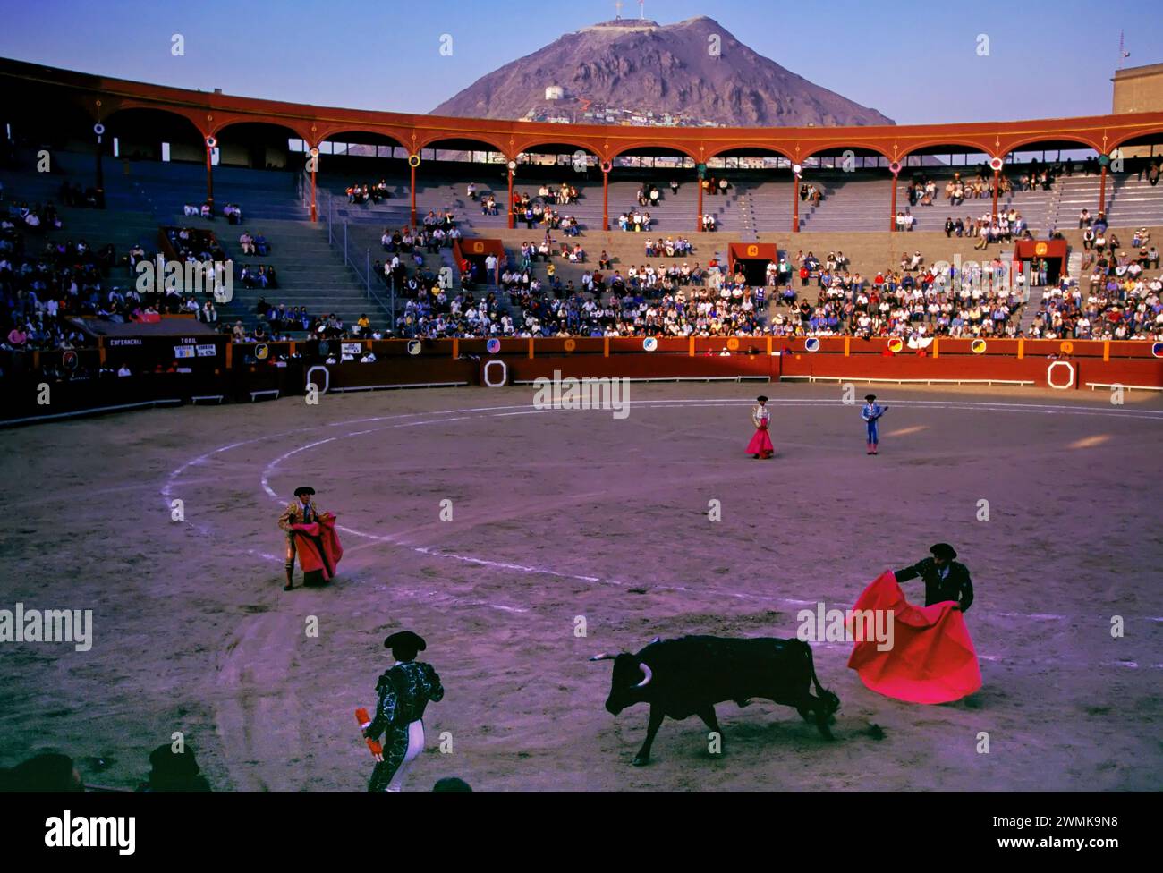 Während des Oktoberfestes des Stierkampfes um den Herrn der Wunder versammeln sich Hunderte von Zuschauern, um die Finesse beider roter Matadoren zu kritisieren Stockfoto