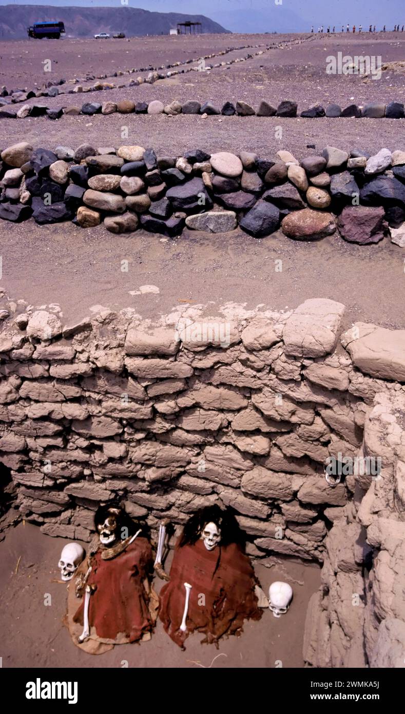 Skelette bleichen in der Wüstensonne Chauchilla Cemetery, ein Grabstätte aus der späten Nazca-Zeit von 500 bis 700 n. Chr. Grabräuber haben Klo... Stockfoto