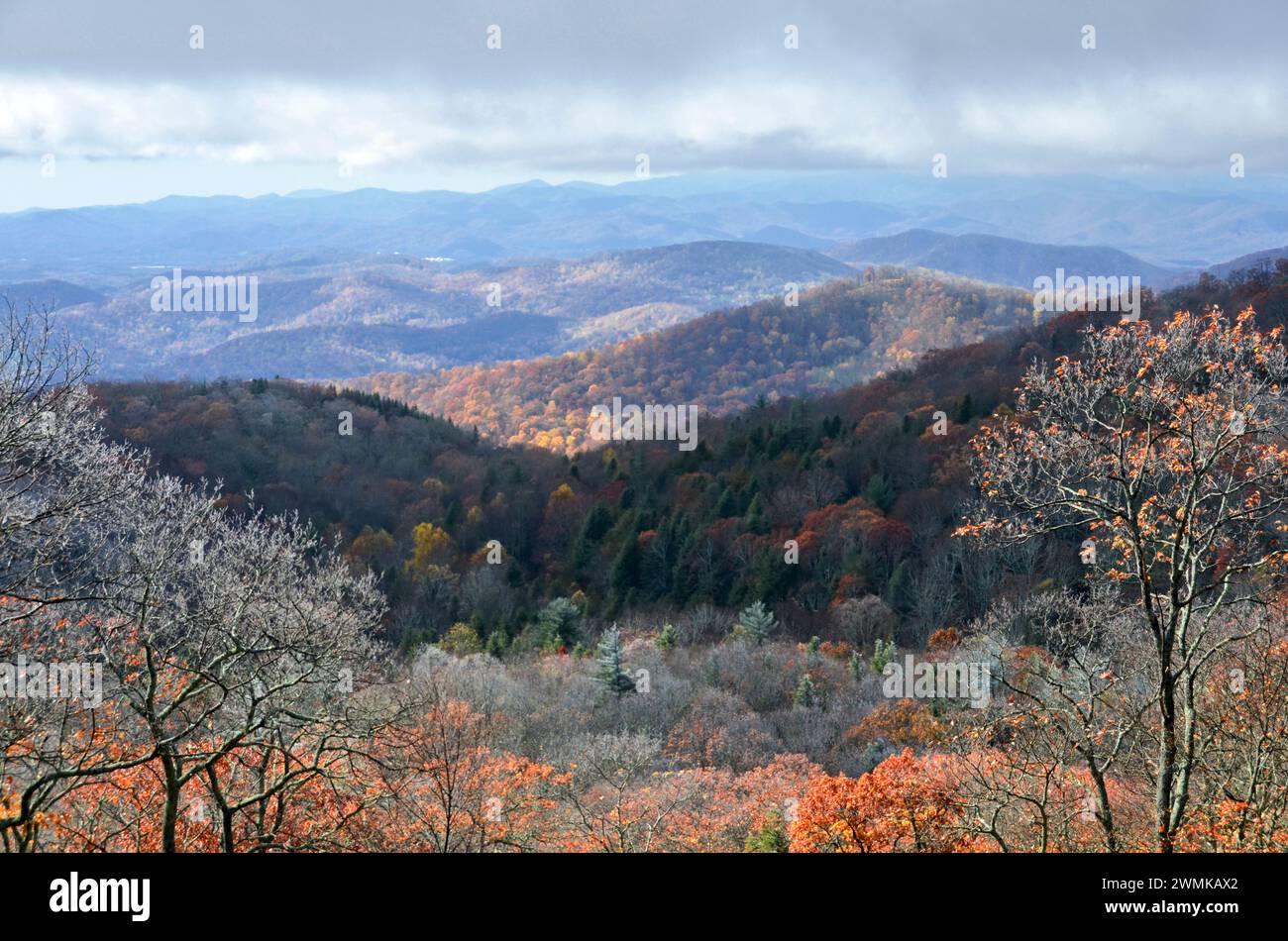 Herbstszene der Blue Ridge Mountains, North Carolina, USA; Fairview, North Carolina, Vereinigte Staaten von Amerika Stockfoto