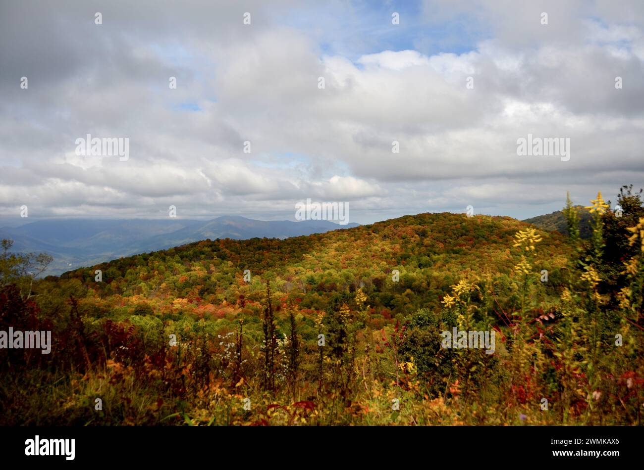 Herbstszene des Flattop Mountain in den Blue Ridge Mountains, North Carolina, USA; Fairview, North Carolina, Vereinigte Staaten von Amerika Stockfoto