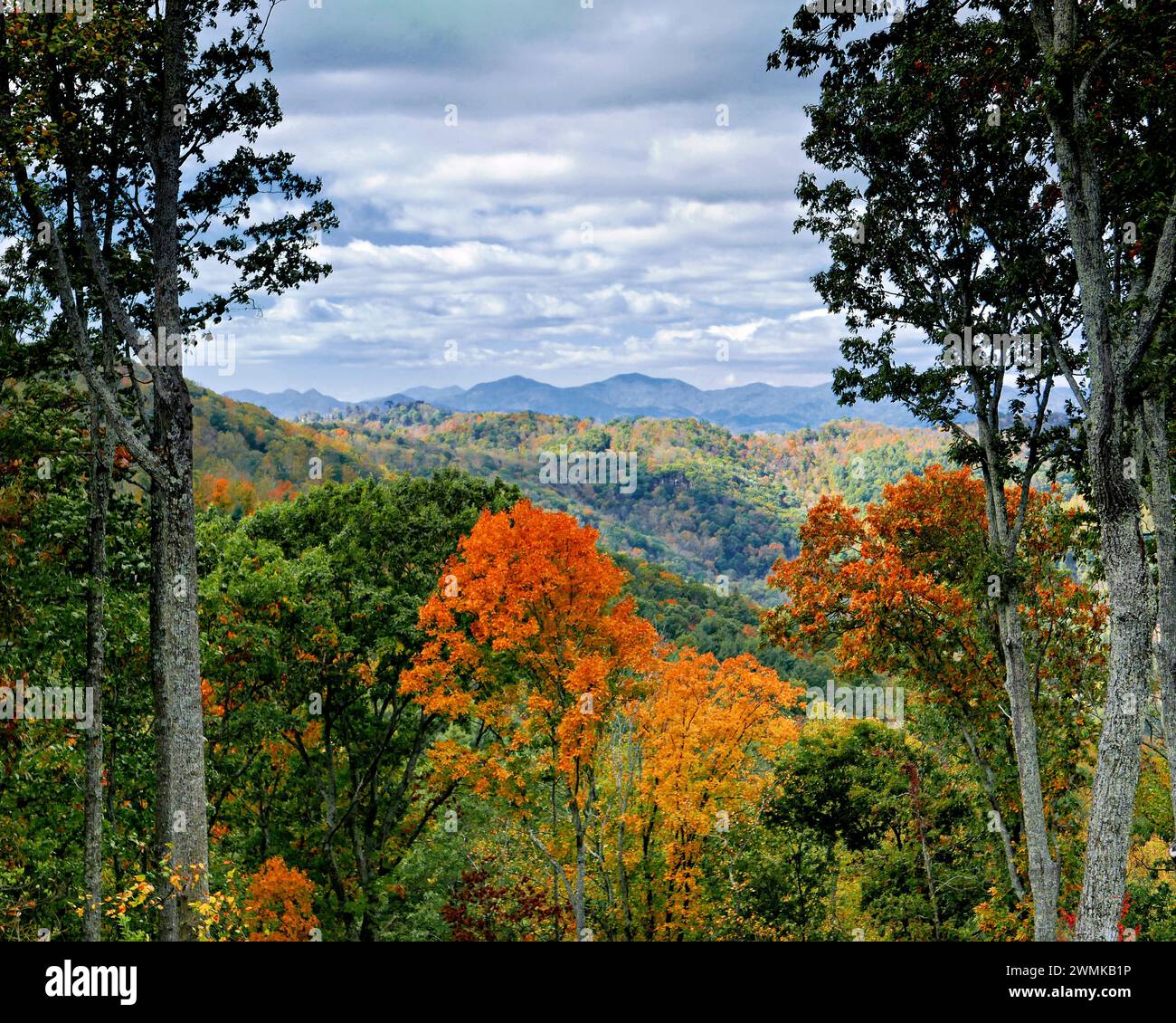 Herbst in den Blue Ridge Mountains; Weaverville, North Carolina, Vereinigte Staaten von Amerika Stockfoto