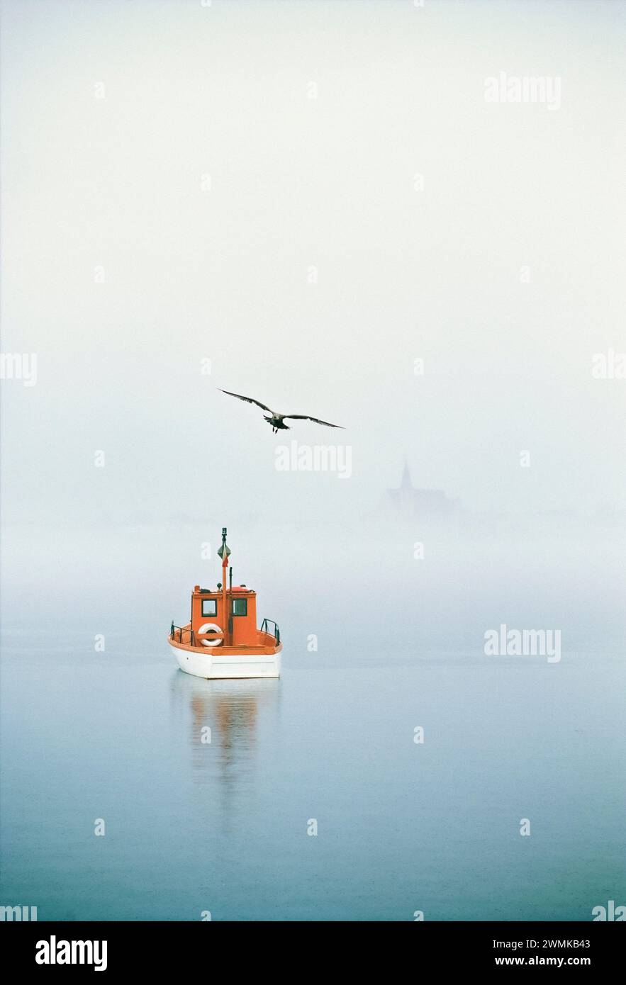 Möwen fliegen über einem Boot vor Anker an einem nebeligen Morgen; Gaspe Peninsula, Quebec, Kanada Stockfoto