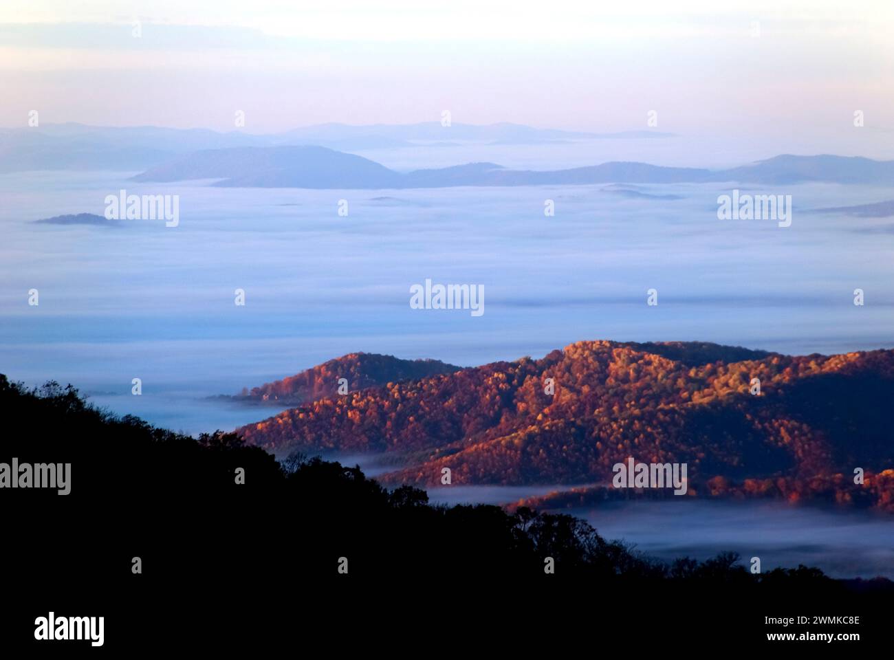 Morgenlicht in den Bergen erleuchtet die Berggipfel in einem Wolkenmeer Stockfoto