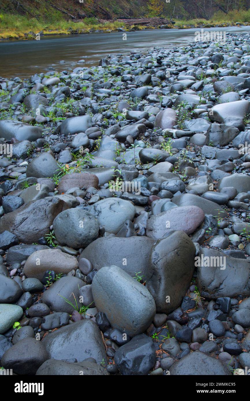 Kies Bar entlang Clackamas Wild und Scenic River im Lazy Bend Campground, West Cascades Scenic Byway, Mt Hood National Forest, Oregon Stockfoto