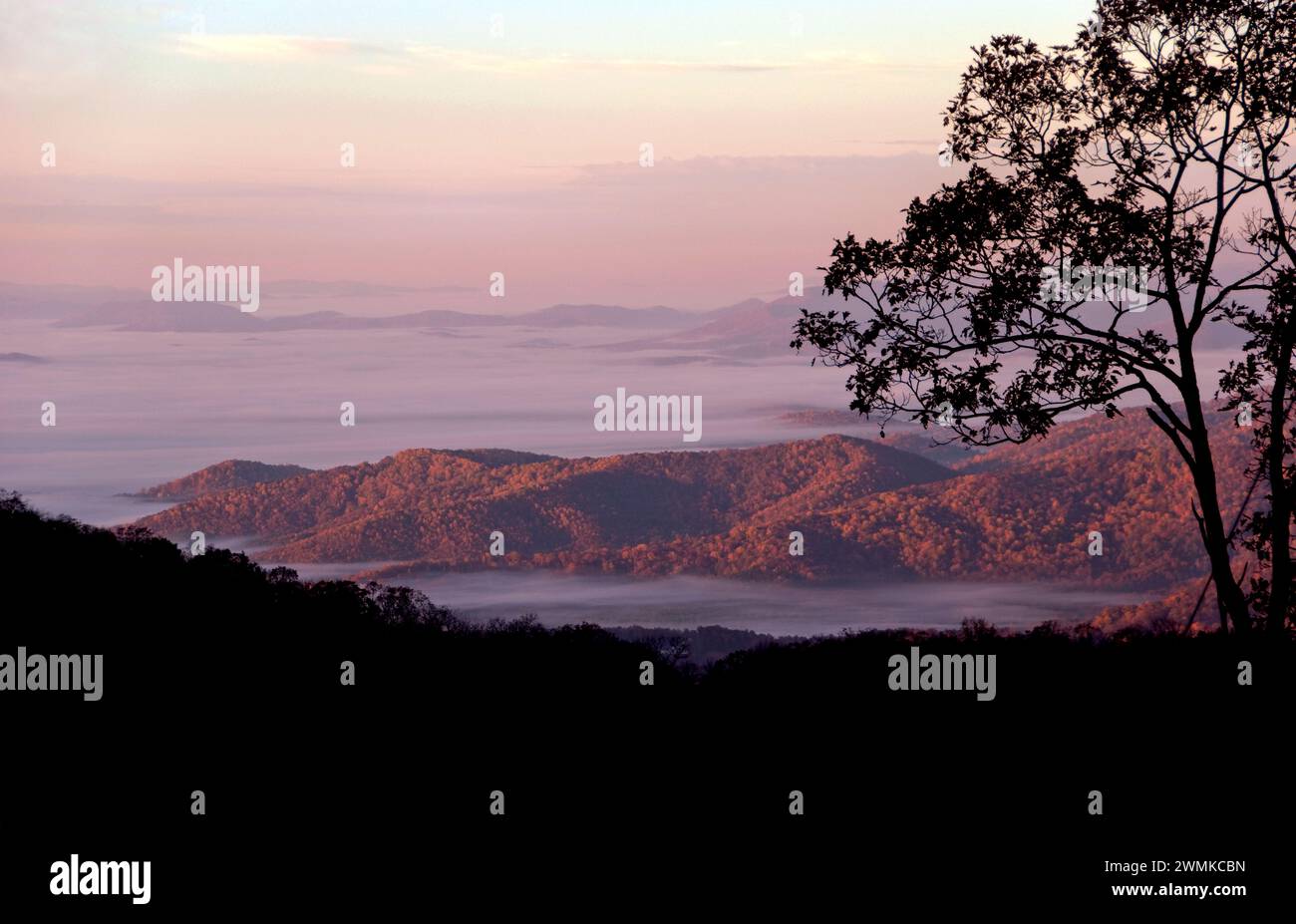 Blick in die Dämmerung auf die von Bäumen bedeckten Berge und silbrigen Grate, die nach Süden in Richtung Hendersonville in den Blue Ridge Mountains blicken Stockfoto