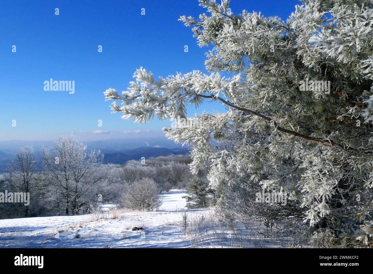 Winterschönheit in einer weiten Landschaft mit Bergen und blauem Himmel Stockfoto