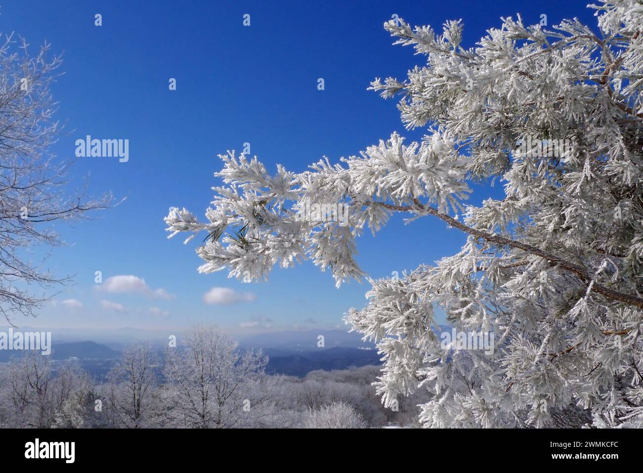Winterschönheit in einer weiten Landschaft mit Bergen und blauem Himmel Stockfoto