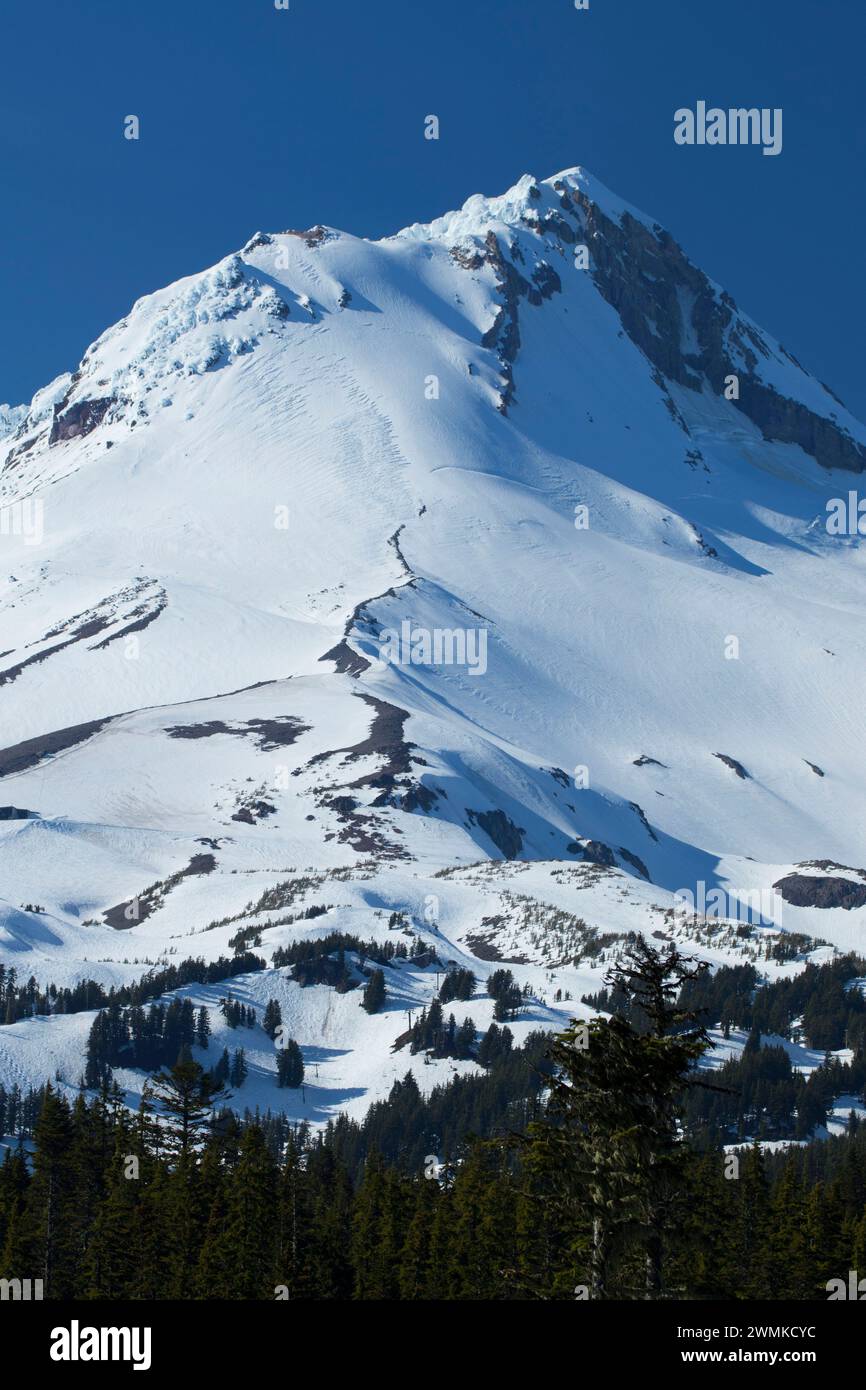 Mount Hood, Mount Hood National Forest, Oregon Stockfoto