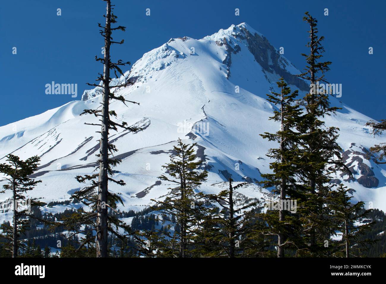 Mount Hood, Mount Hood National Forest, Oregon Stockfoto