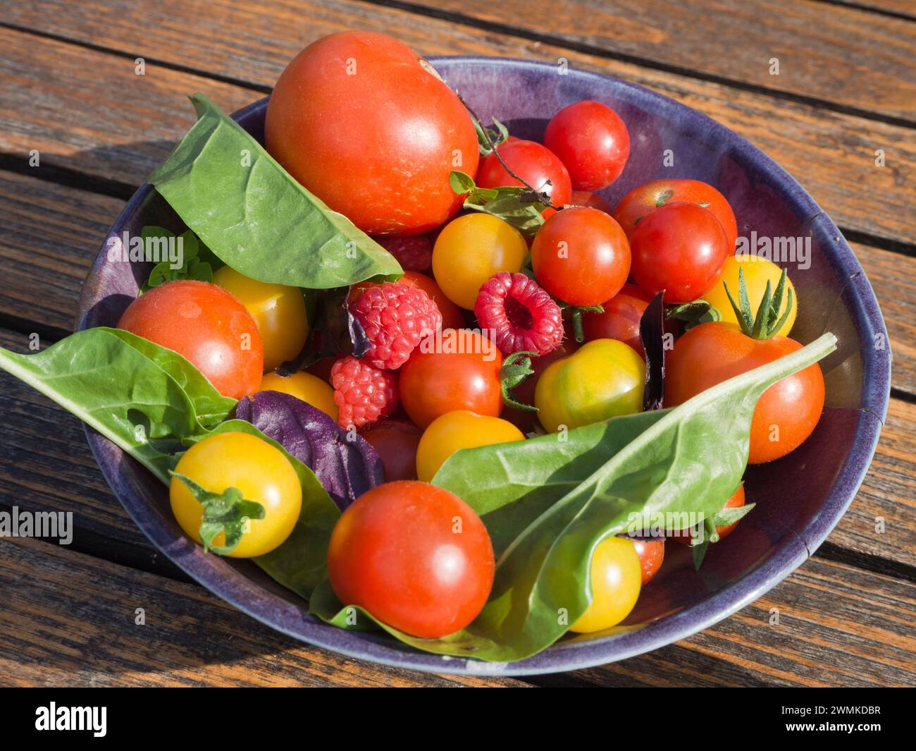 Schüssel mit roten und gelben Kirschtomaten, Himbeeren und gemischtem Blattsalat auf einem Holztisch in der Sonne; London, England Stockfoto