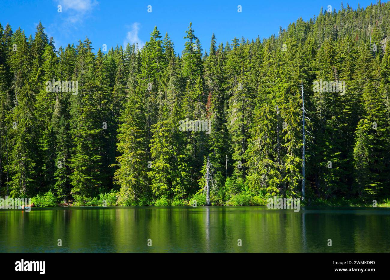 Hideaway Lake, Mt Hood National Forest, Oregon Stockfoto