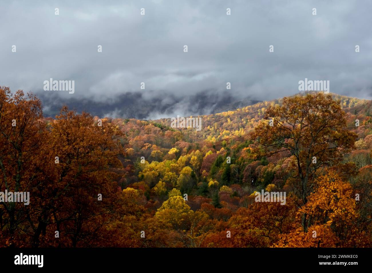 Herbstszene in den Blue Ridge Mountains mit leuchtendem Herbstlaub und Wolken, die über die Bergrücken in der Ferne Rollen, in North Caroli... Stockfoto