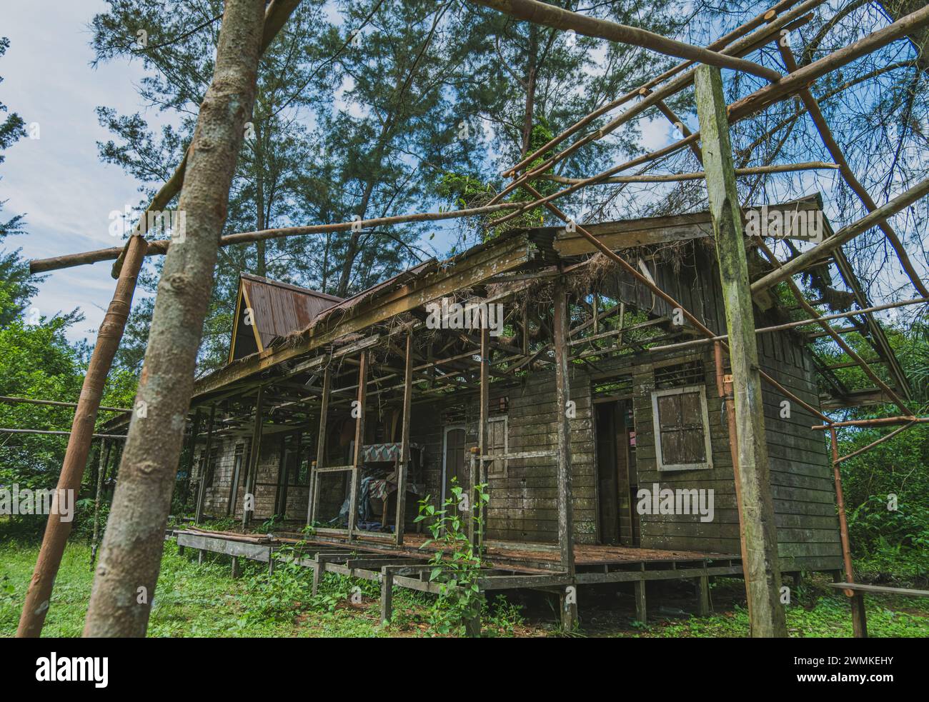 Altes rustikales Haus mit einem skurrilen Feeling, umgeben von einem üppigen Wald. Perfekt für die Illustration von Märchen, Fantasy-Geschichten oder Kinderbucheinbänden. Stockfoto