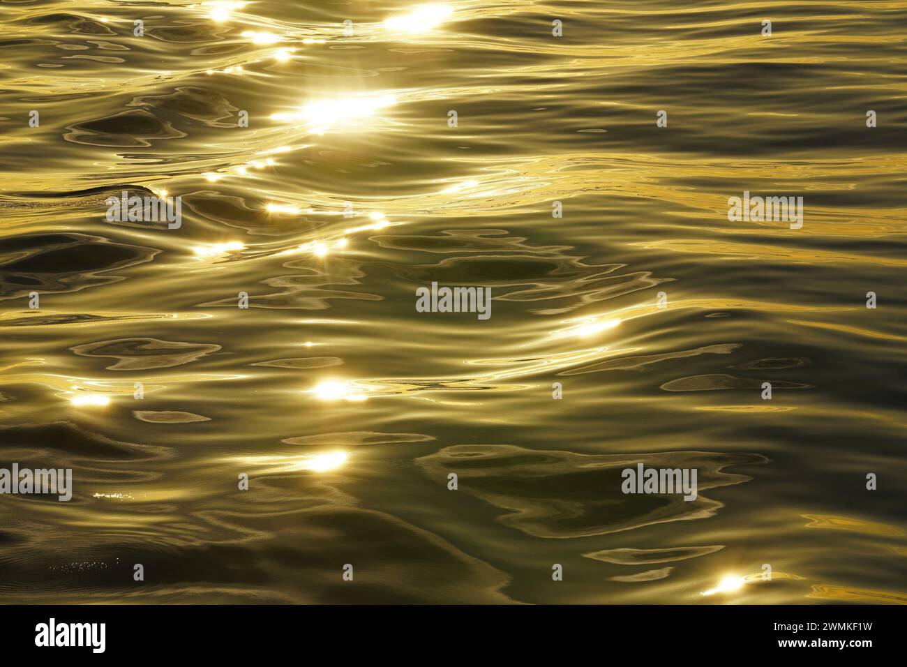Goldenes Sonnenlicht reflektiert und schimmert auf der Wasseroberfläche Stockfoto