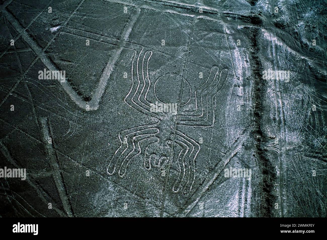 Geheimnisvolle Nazca-Linien bilden eine Spinne, eine von vielen tierischen und geometrischen Formen, die am besten in der Luft in Perus südlicher Wüste zu sehen sind. Anthropologen beli... Stockfoto