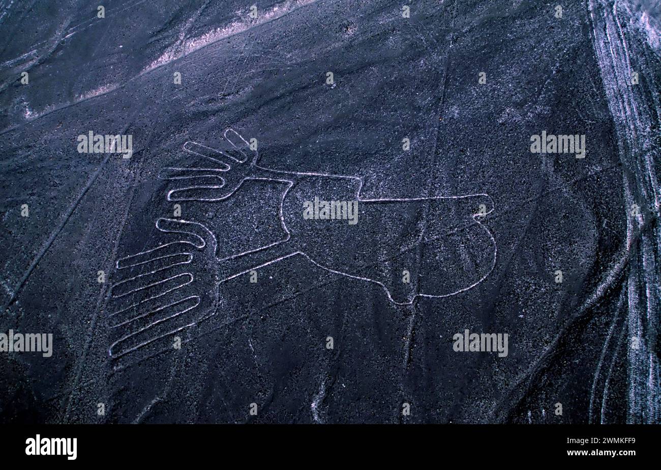 Geheimnisvolle Nazca-Linien bilden seltsame zweifüßige Tierfiguren in der Wüste Perus. Viele Lebewesen sowie geometrische Formen laufen kilometerweit und... Stockfoto